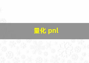 量化 pnl